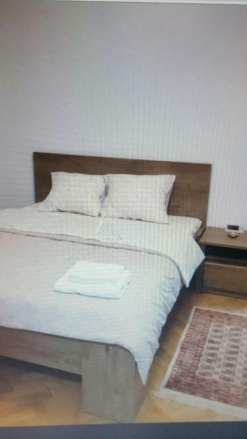 Apartament Lavinia Călimăneşti Exterior foto