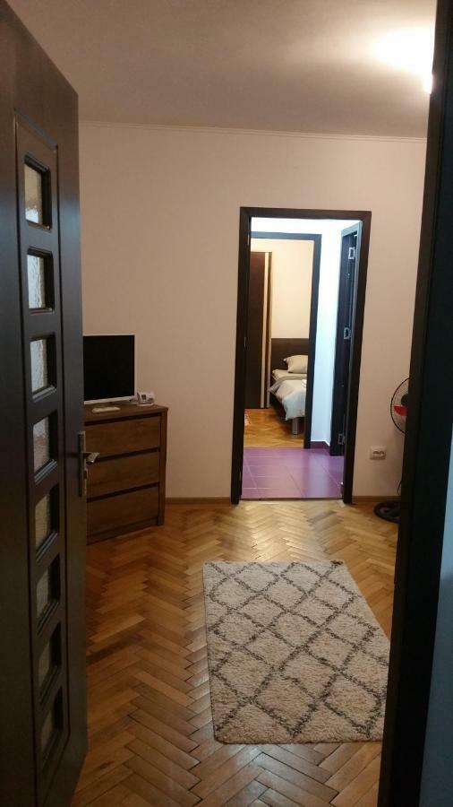 Apartament Lavinia Călimăneşti Exterior foto