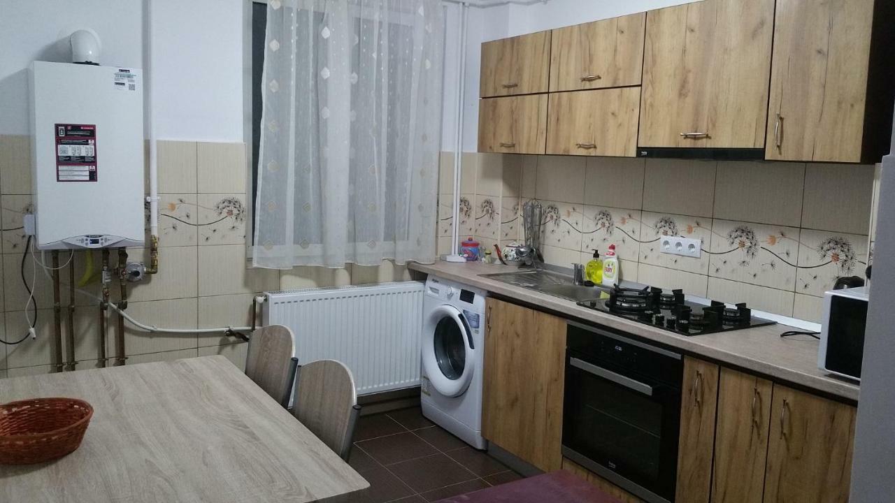 Apartament Lavinia Călimăneşti Exterior foto